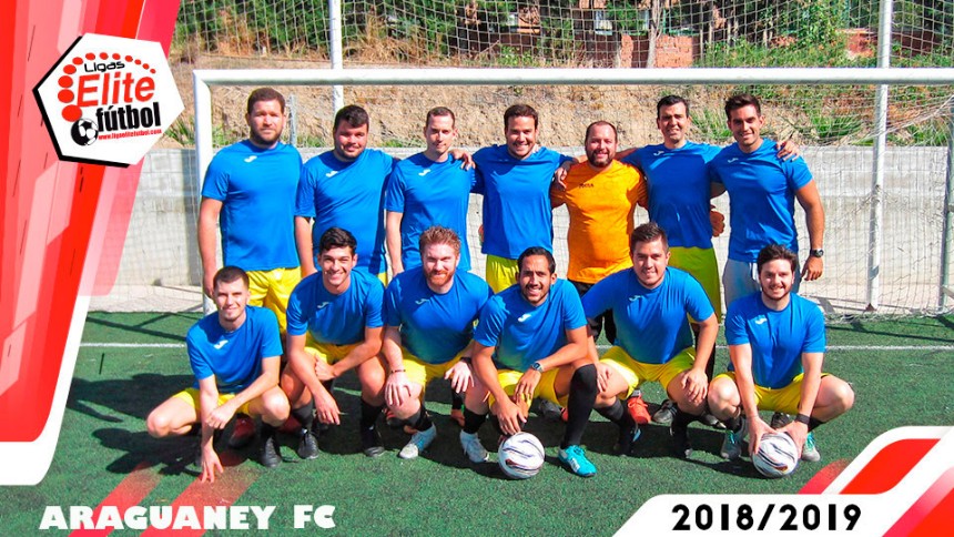 LIGA DISPUTADA  EN RETIRO DOMINGO TARDE